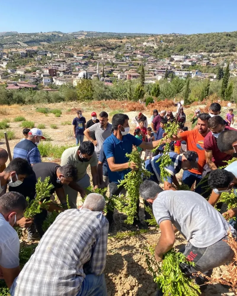 CESEDİ BAHÇEDE BULUNAN YASEMİN ÜNLÜ DEFNEDİLDİ